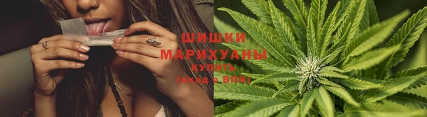 альфа пвп Бородино