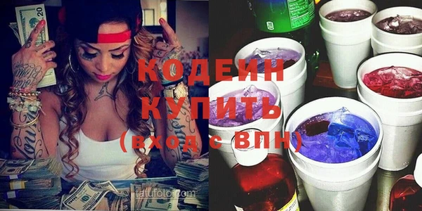 ПСИЛОЦИБИНОВЫЕ ГРИБЫ Богданович