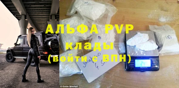 ПСИЛОЦИБИНОВЫЕ ГРИБЫ Богданович