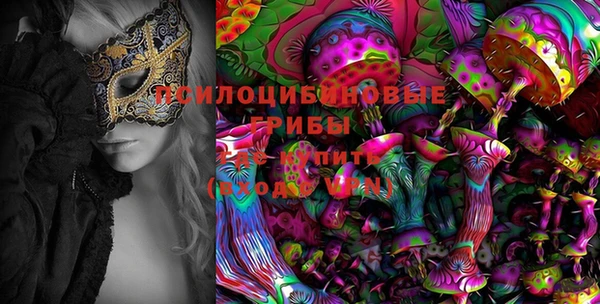 винт Богородицк